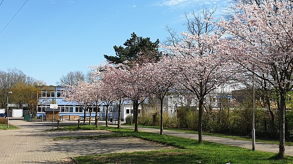 Die Schule vom Parkplatz